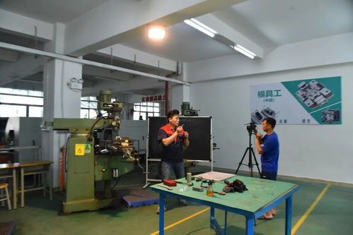 創新培訓服務企業 寶山技工全面啟動企業適崗培訓工作，聚焦信息技術咨詢服務